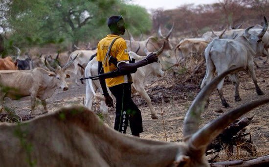 Walid expresses regrets over herders’ activities in Nigeria