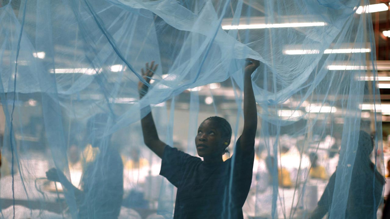 Malaria: FG distributes 25m treated mosquito nets in 6 states
