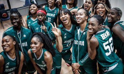 D’Tigress