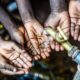 Cholera claims 9 lives in 5 Yobe LGAs